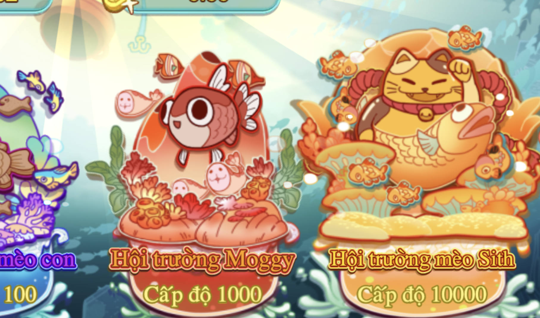 Hướng dẫn chi tiết cá cược Mèo bắn cá