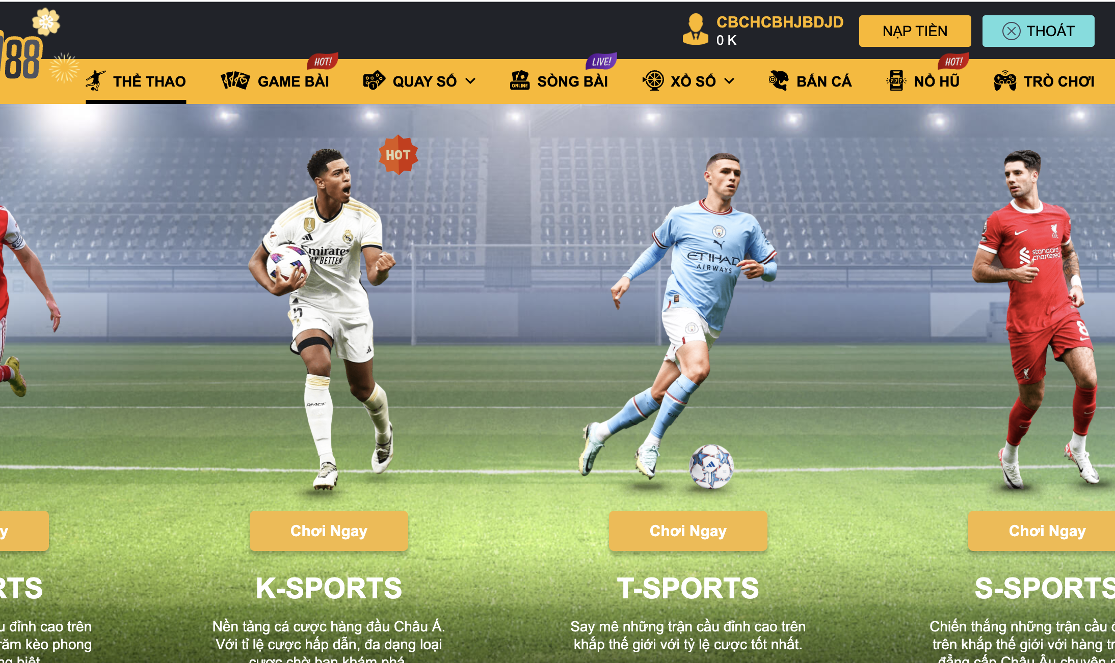 Tìm hiểu và cập nhật thông tin về đội thi đấu