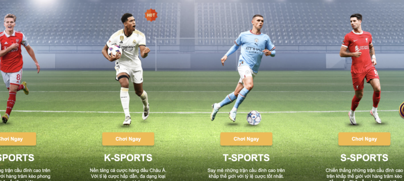 Lý do nên tham gia trải nghiệm soi kèo thể thao thú vị